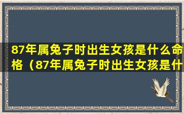 87年属兔子时出生女孩是什么命格（87年属兔子时出生女孩是什 🐒 么命格呢）